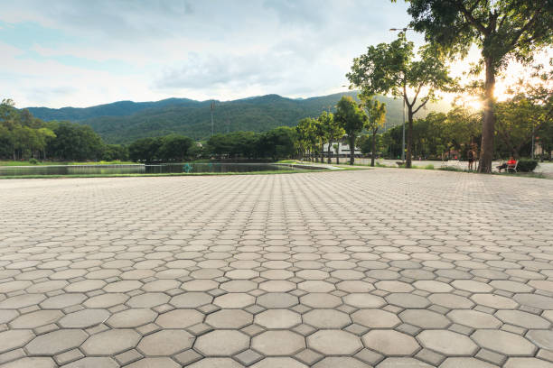 Best Driveway Paving Contractor  in Rio, VA